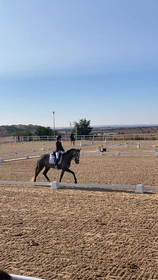 Centro ecuestre medina