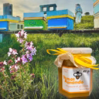 MIEL ARTESANA PURA DE ABEJA