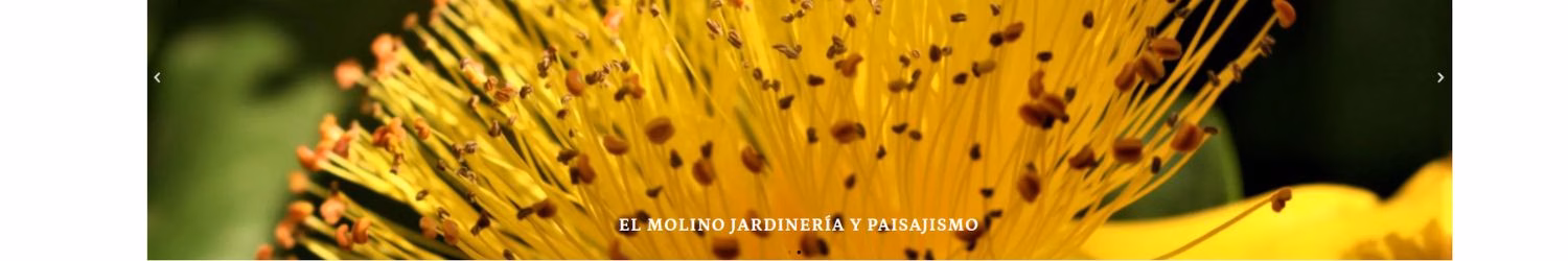 JARDINERÍA Y PAISAJISMO