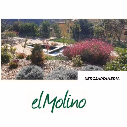 Diseño de jardines y  riegos