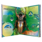 libro pop-up de bichos para niños