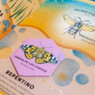 libro pop-up de bichos para niños