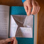 El jardín secreto edición ilustrada MinaLima