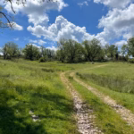 La Traviesa de la Demanda en Cabezón de la Sierra